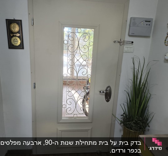 דלת עם סורג מתכת, צמח ועיטור קיר